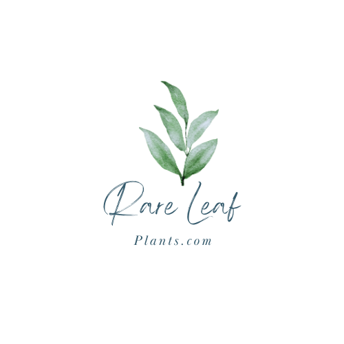 RareLeafPlants.com